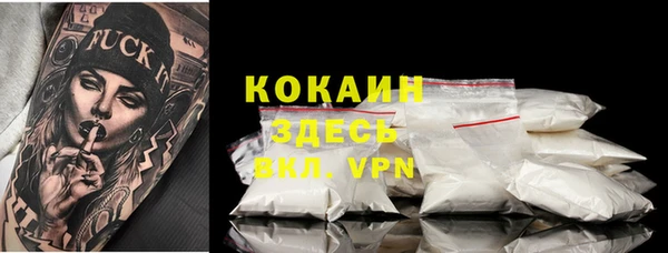 стаф Зерноград