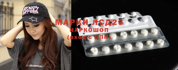 стаф Зерноград