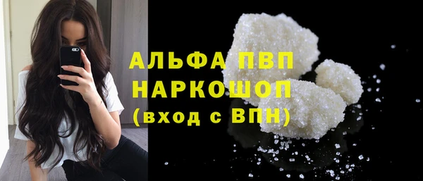 стаф Зерноград