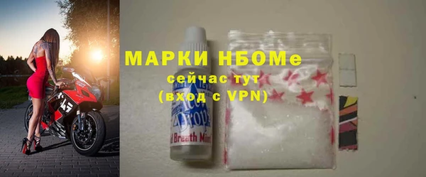 стаф Зерноград