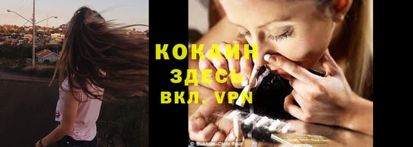 стаф Зерноград