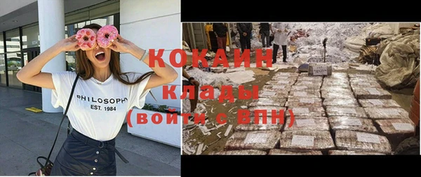стаф Зерноград
